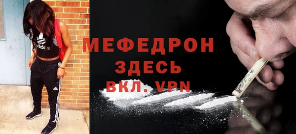 МДПВ Бородино