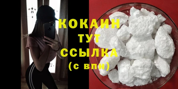 МДПВ Бородино