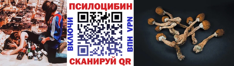 Галлюциногенные грибы ЛСД  Волчанск 